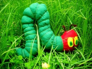 caterpillarsoftie