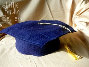 graduation-caps