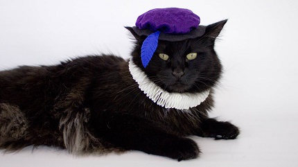 Video tutorial: Renaissance costume for a cat or small dog