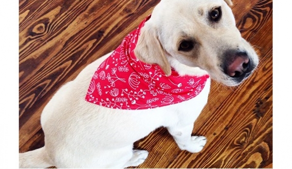 Free pattern: Dog Bandana in three sizes