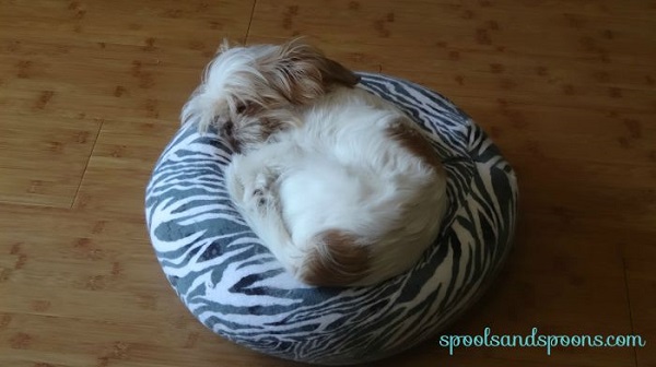 Tutorial: Beanbag cushion for a small pet or 18" doll