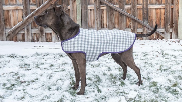 Tutorial: How to make a dog coat