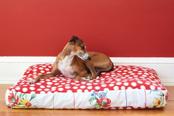 Tutorial: Doggy duvet bed