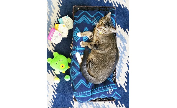 Tutorial: Fleece cat bed in a basket