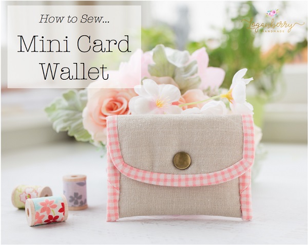 Tutorial: Mini snap wallet