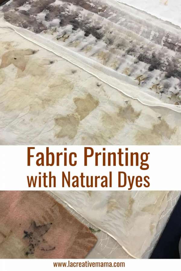 Eco Printing on Fabric With Natural Dyes