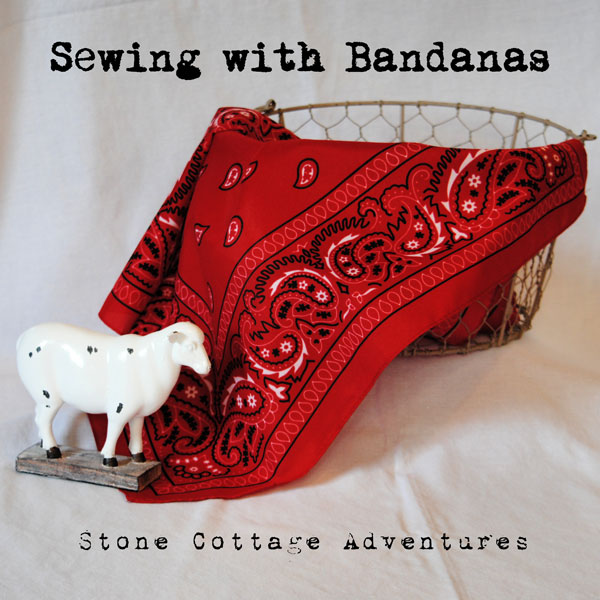 2 Things You Can Sew From Bandanas